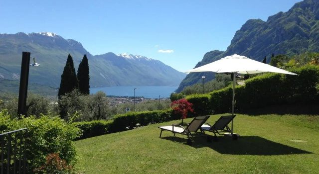 Verde Panorama