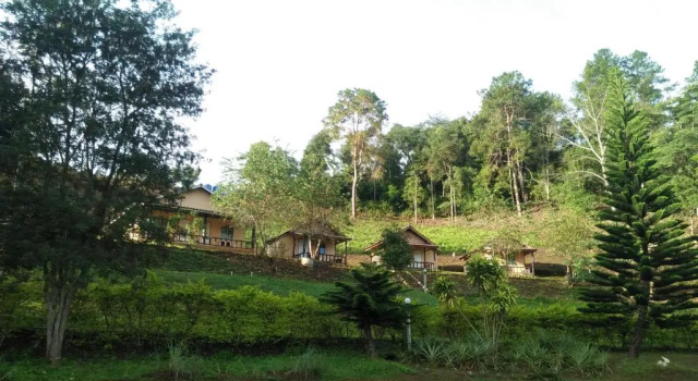 Бунгало Mong Homestay Resort