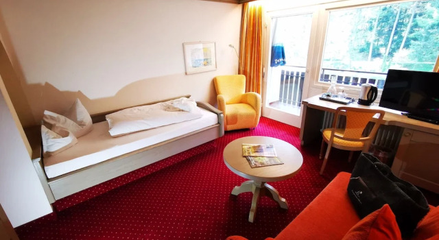 Одноместный номер Standard с балконом Hotel Langenwaldsee