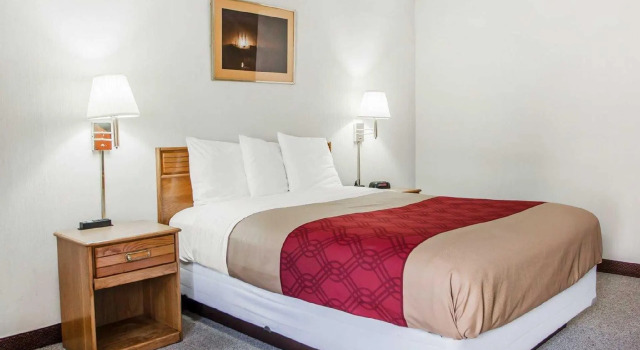 Номер Standard Red Roof Inn Stroudsburg