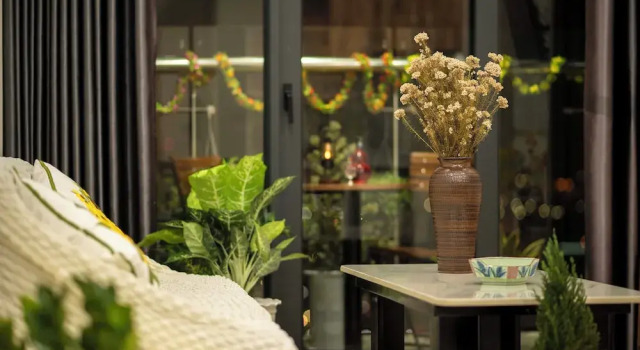 Апартаменты Comfort Moon homestay, apartment Hue
