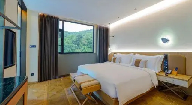 Люкс Classic Novotel Linfen Mount Yun