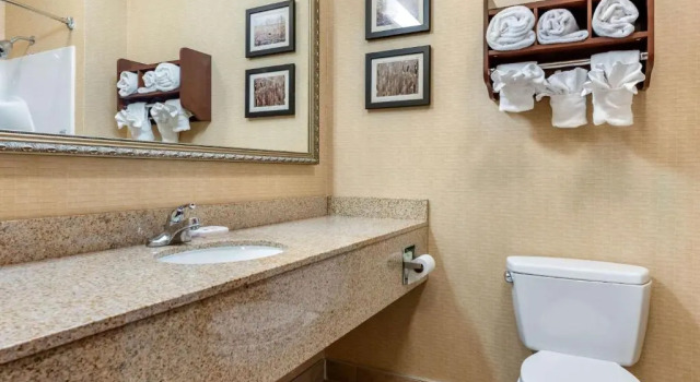 Номер Standard Comfort Suites Elkhart South