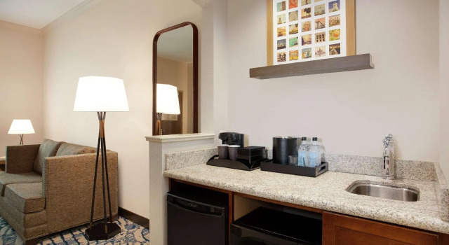 Двухместный люкс Embassy Suites by Hilton Tampa Downtown Convention Center