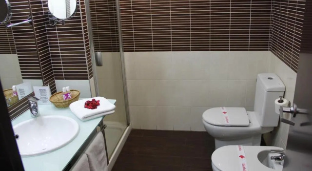 Одноместный номер Standard Hotel Hidalgo