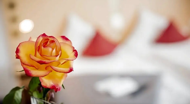 Номер Standard City-Hotel garni