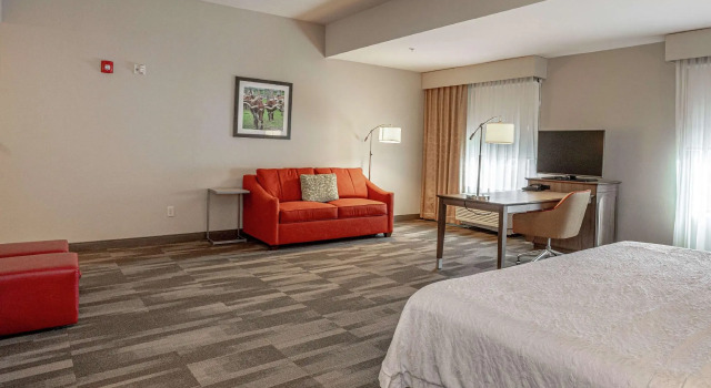 Двухместная студия Hampton Inn and Suites Georgetown/Austin North, TX