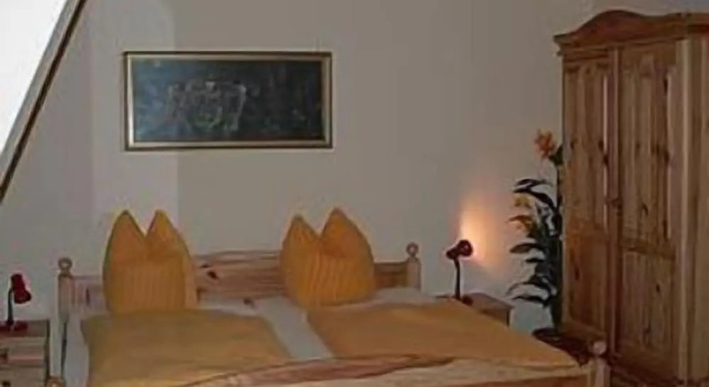 Одноместный номер Standard Gästehaus Loschwitz