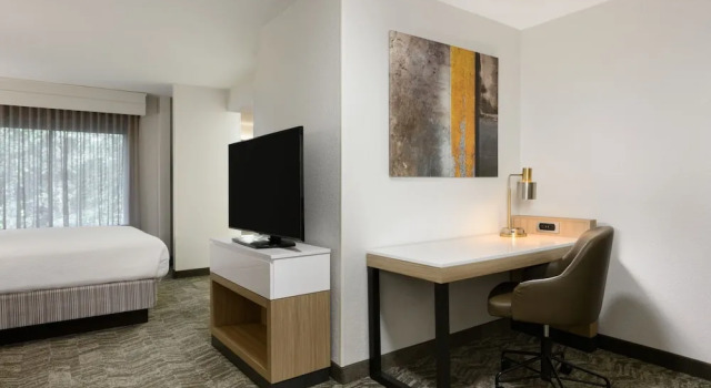 Люкс SpringHill Suites by Marriott Newnan