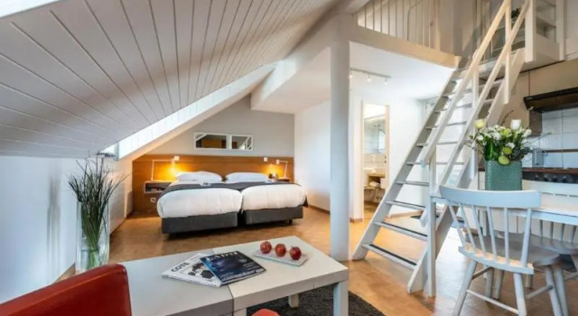 Студия Дуплекс с балконом Hotel des Alpes
