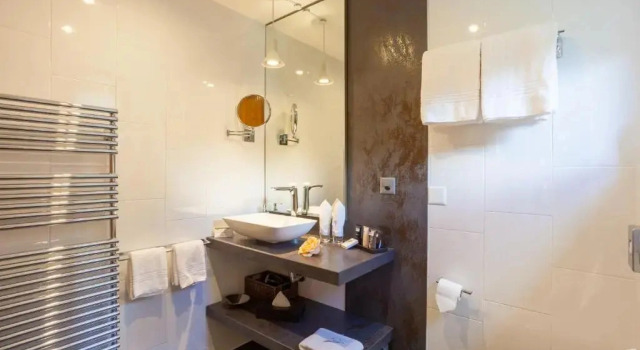 Двухместный люкс Suitenhotel Zurbriggen