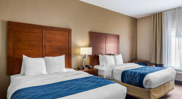 Четырёхместный номер Standard Comfort Inn South Chesterfield - Colonial Heights