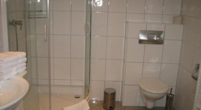 Двухместный номер Standard Hotel Lindenhof