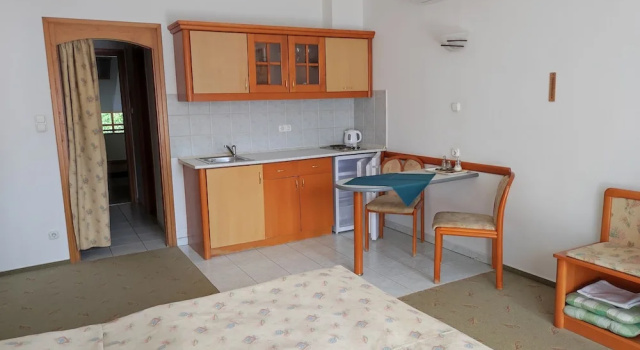 Студия Comfort c 1 комнатой Ágnes Panzió