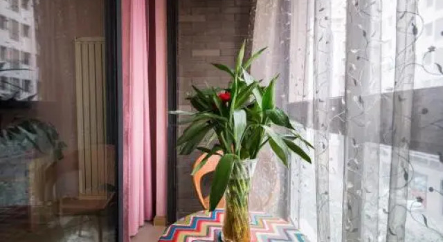 Xi'an Mini Hostel, Book Hostel / Vandrerhjem Hostels i Shaanxi, Hostel / Vandrerhjem