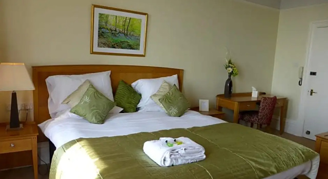 Номер Superior Bailey Ground Lodge