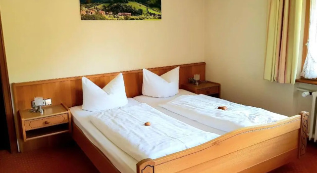 Двухместный номер Standard Hotel Walkenstein