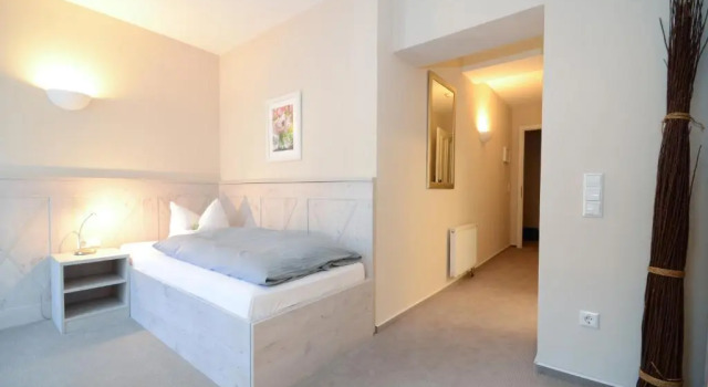 Одноместный номер Standard Waldhotel Eichenhof