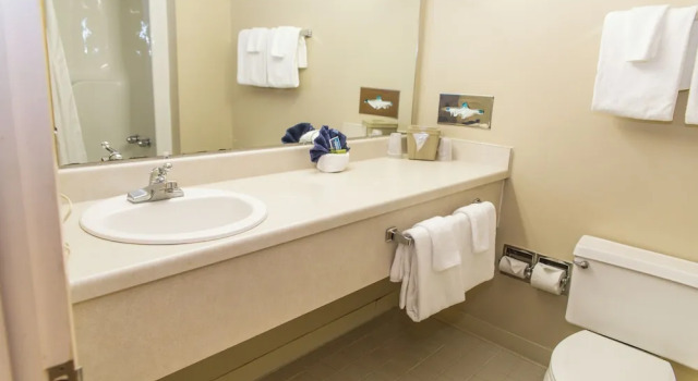 Номер Standard The Inn at Snowshoe