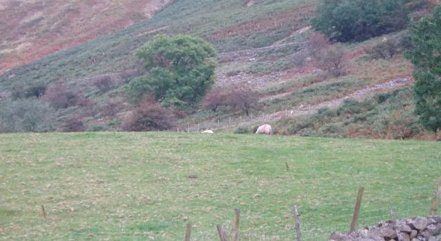 Fisher-gill Camping Barn, Prenota Campeggio Hotel economici a Cumbria