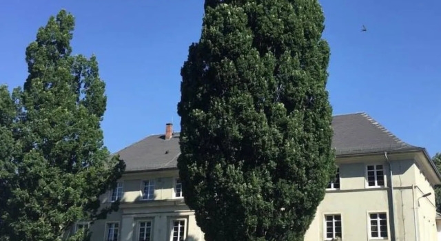 CityApartment Schleiz
