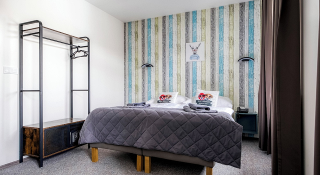 Camera Standard RC Jecna rooms