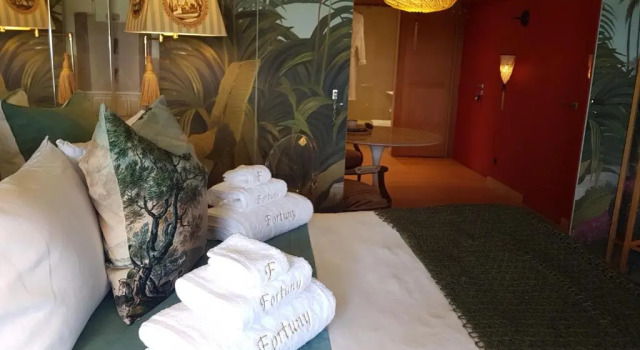 Номер Standard LE FORTUNY - 3 Suites, 2 apparts, 1 chambre - proche TRAM ligne aéroport et parking gratuit