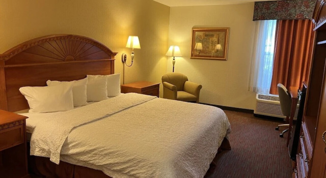 Одноместный номер Standard Orlando Palms