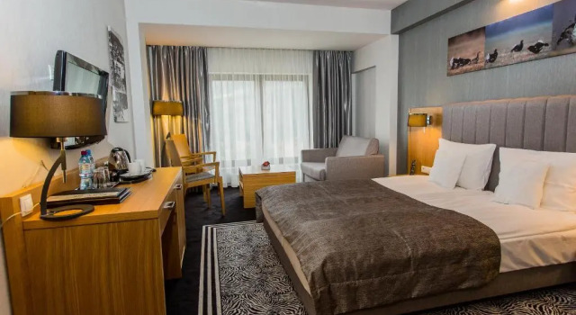 Двухместный номер Standard с видом на горы Hotel & Medi-Spa Biały Kamień