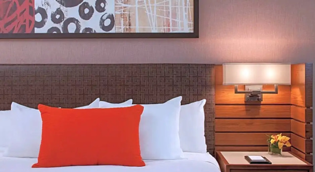 Двухместный люкс c 1 комнатой Hyatt Lodge Oak Brook Chicago