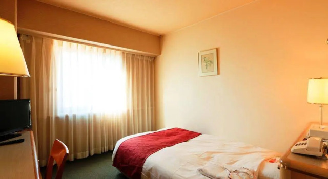 Matsuyama Washington Hotel Plaza, Prenota Hotel Matsuyama Ehime