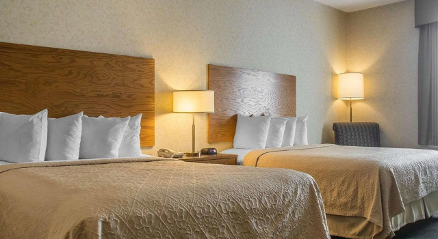 Четырёхместный номер Standard Quality Hotel & Suites