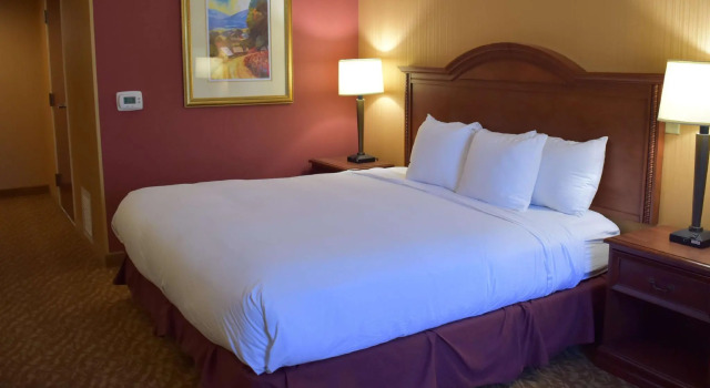 Двухместный номер DoubleTree by Hilton Biltmore/Asheville