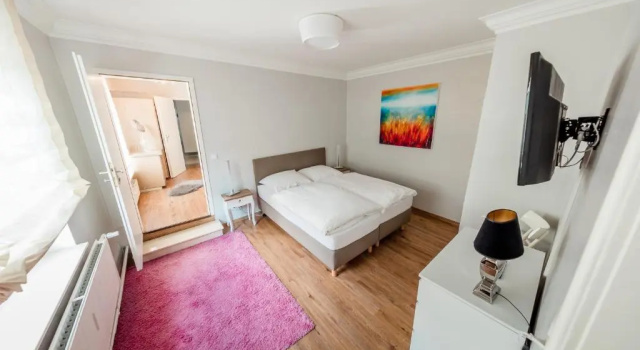 Одноместный номер Standard Hotel Meyer