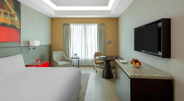 Номер Standard Radisson Blu Faridabad