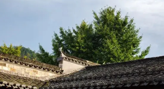 Liuzhu Dongyuan Boutique Hostel