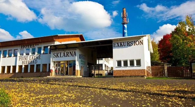 Двухместный номер Standard Hotel Sklárna Harrachov