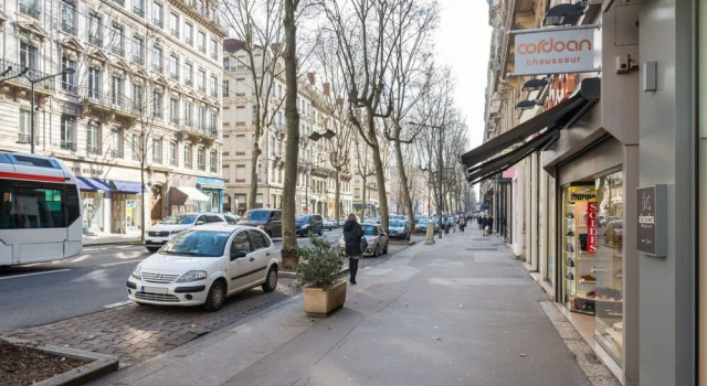 Appartement Chic And Spacious 6Ème - Foch, Забронировать Апартаменты/квартира Лион Rhône, рядом с Jardin Publique La Cerisaie