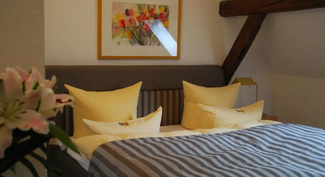 Люкс Hotel Goldener Falke