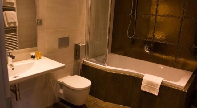 Номер Deluxe Hotel Freud