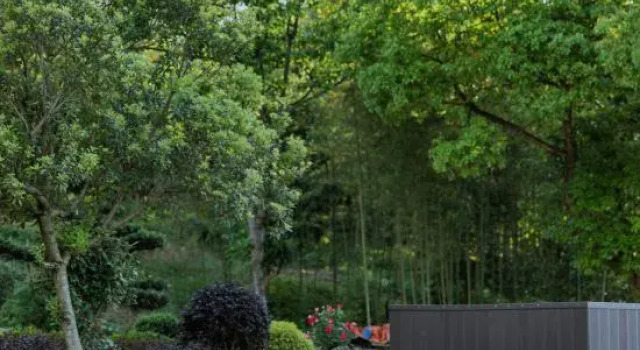 Bamboo Sea Villa & Starry Sky Pool · Parent-Child Vacation Guesthouse, Boek Villa Huzhou Zhejiang