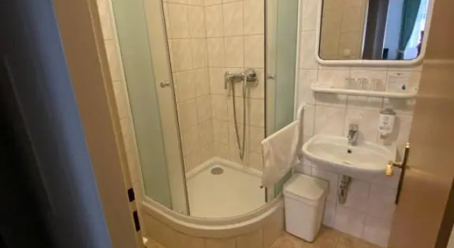 Двухместный номер Standard Hotel Omega Brno