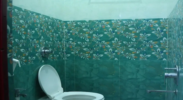 Люкс Standard Thendral Park Inn