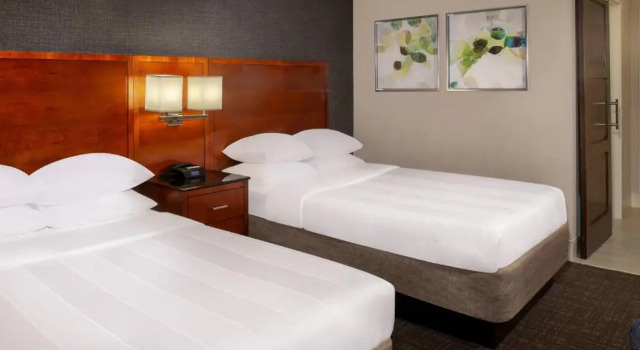 Четырёхместный номер Standard Marriott Raleigh Durham Research Triangle Park