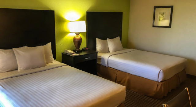 Четырёхместный номер Standard International Palms Resort Cocoa Beach