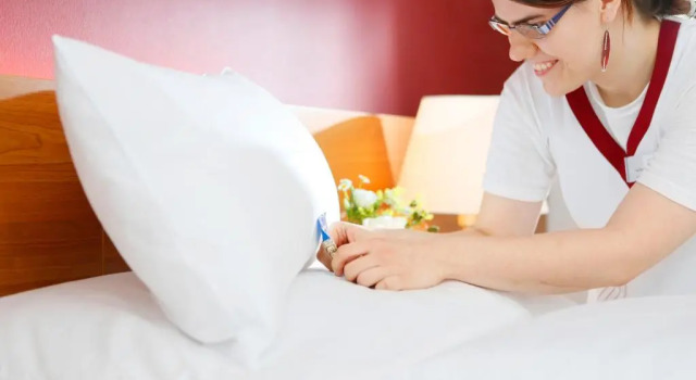 Одноместный номер Standard Hotel Franz