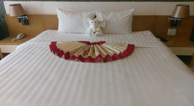Двухместный номер Deluxe Vân Anh Luxury