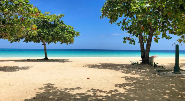 Одноместный номер Standard с балконом Negril Beach Club Condos