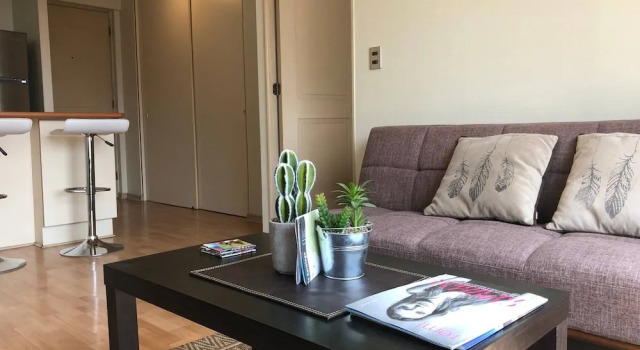 Apartment in Downtown of Santiago, Chile, one Room, Забронировать Апартаменты/квартира Апартаменты Сантьяго, рядом с Муниципальный театр Сантьяго, Апартаменты/квартира
