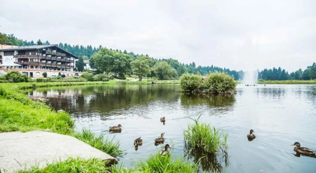 Апартаменты Appartements Am Kranichsee